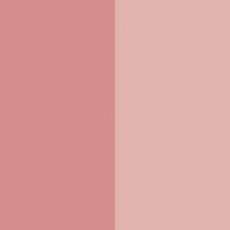 Lipfinity Colour & Gloss Lip Gloss Max Factor mejor precio