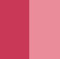 Lipfinity Colour & Gloss Lip Gloss Max Factor mejor precio