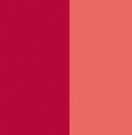 Lipfinity Colour & Gloss Lip Gloss Max Factor mejor precio