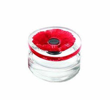 Flower In The Air EDP Kenzo mejor precio